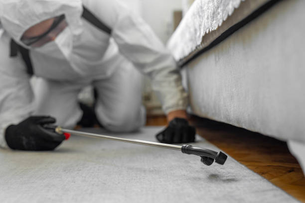 Professional Bed Bug Control technician working in Alamo, NV